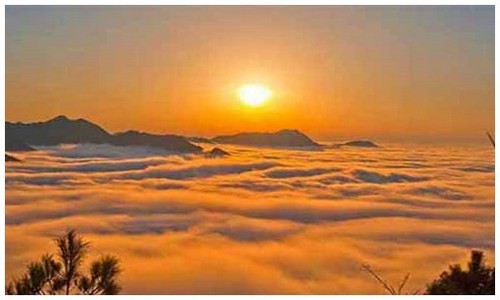 2026最新龙岛异兽电脑端如何安装？附礼包码领取攻略